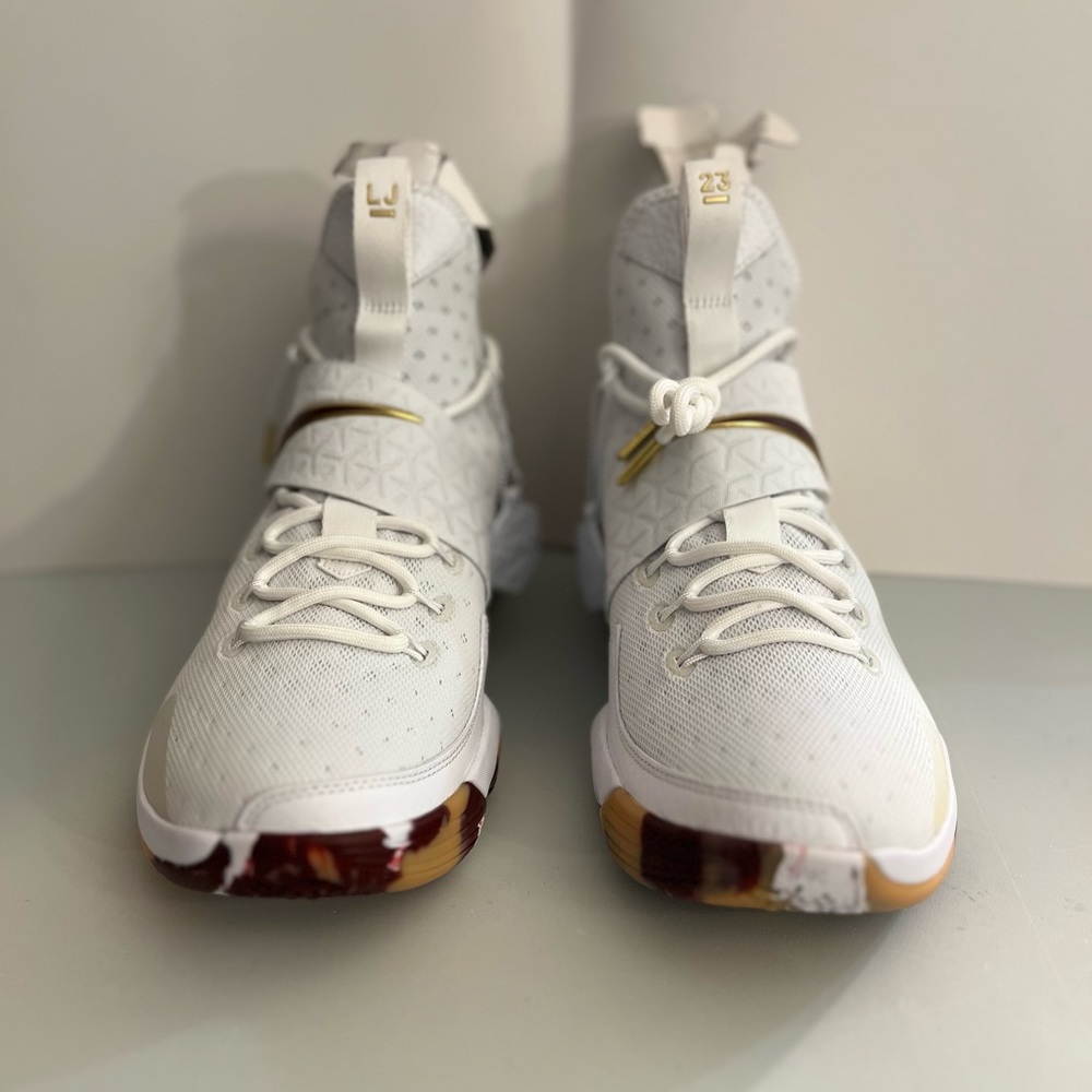 Nike LeBron 14 Wine. Price is firm no lowball offers. Thank you
